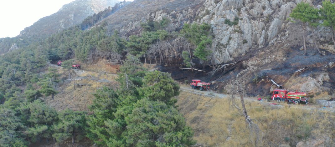 Antakya’da çıkan orman yangını kontrol altına alındı