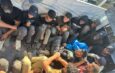 Antakya-Altınözü yolunda 14 kaçak göçmen yakalandı