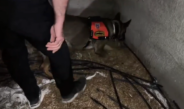 Altınözü’nde bir ahırda 2 bin 422 gram metamfetamin ele geçirildi